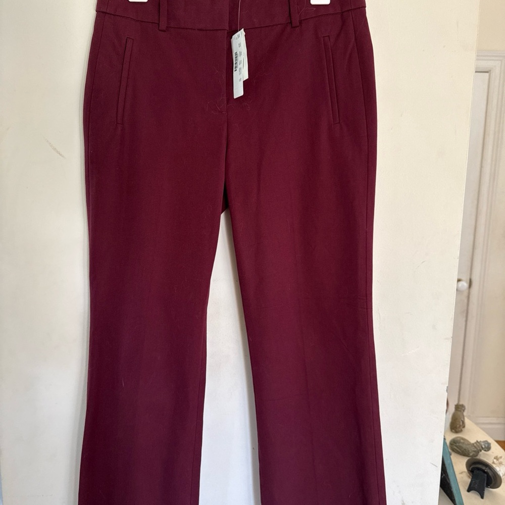 J. Crew Deep Red Pants
